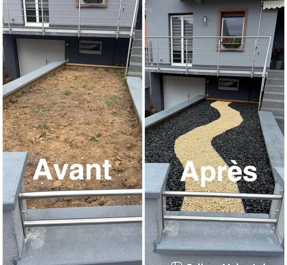Élagage et entretien d'arbres dans le Bas-Rhin